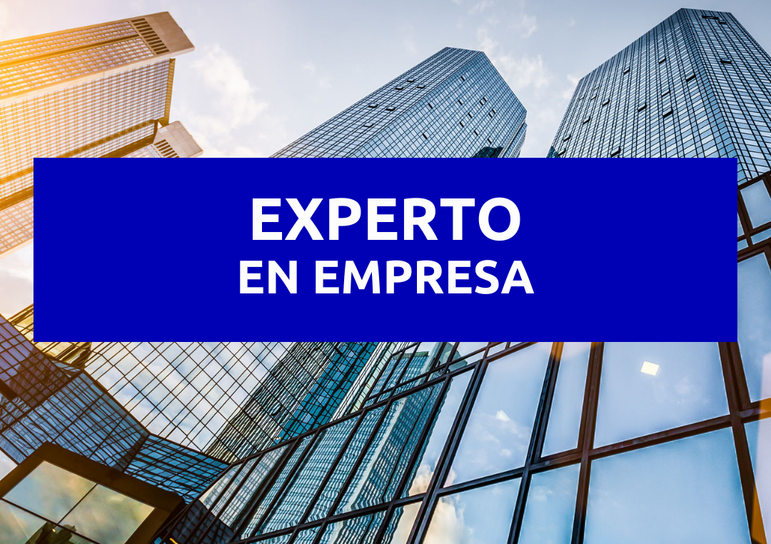 Curso «Experto en empresa»